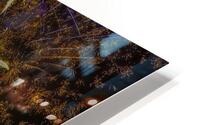 MIS 01209 HD Metal print