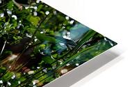 BIR 01719 HD Metal print