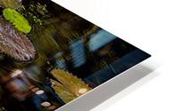 FLO 01820 HD Metal print