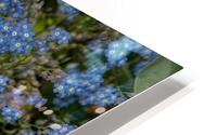 FLO 01771 HD Metal print