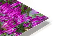 FLO 01806 HD Metal print