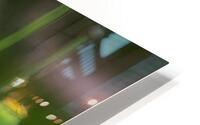 FLO 01800 HD Metal print