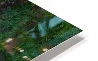 MIS 01917 HD Metal print