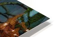 MIS 01916 HD Metal print