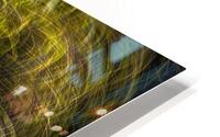 ABS 01981 HD Metal print