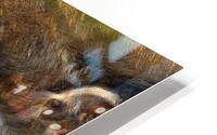 ABS 01978 HD Metal print
