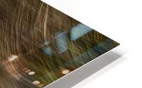 ABS 01977 HD Metal print