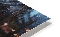 ABS 02018 HD Metal print