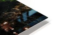 LAN 02075 HD Metal print