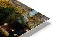 LAN 02055 HD Metal print