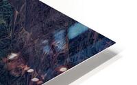LAN 02054 HD Metal print