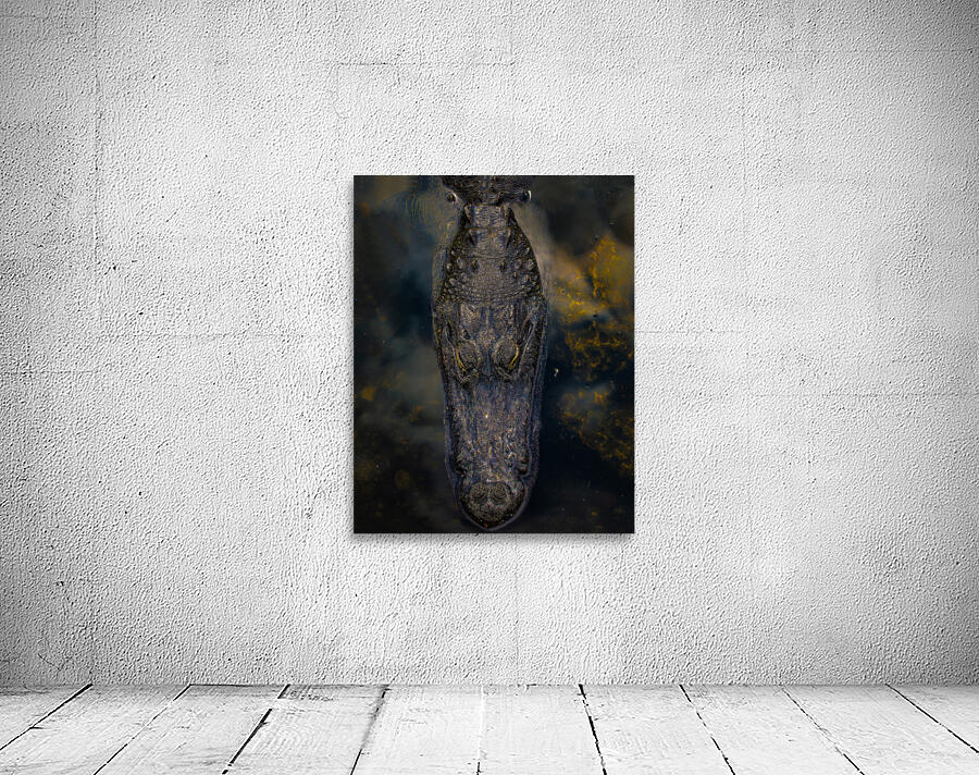 ANI 02189 Wall Preview