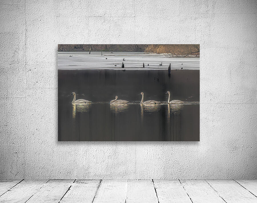 BIR 02363 Wall Preview