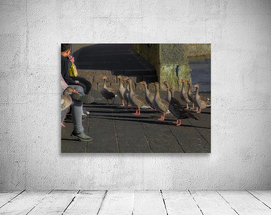 BIR 02243 Wall Preview