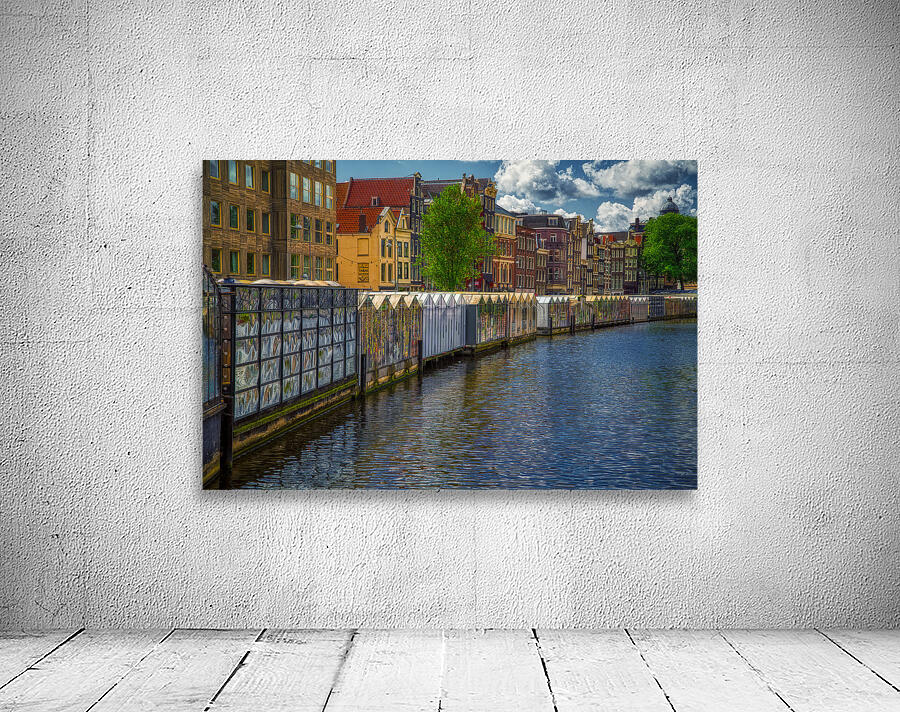 CIT 02349 Wall Preview