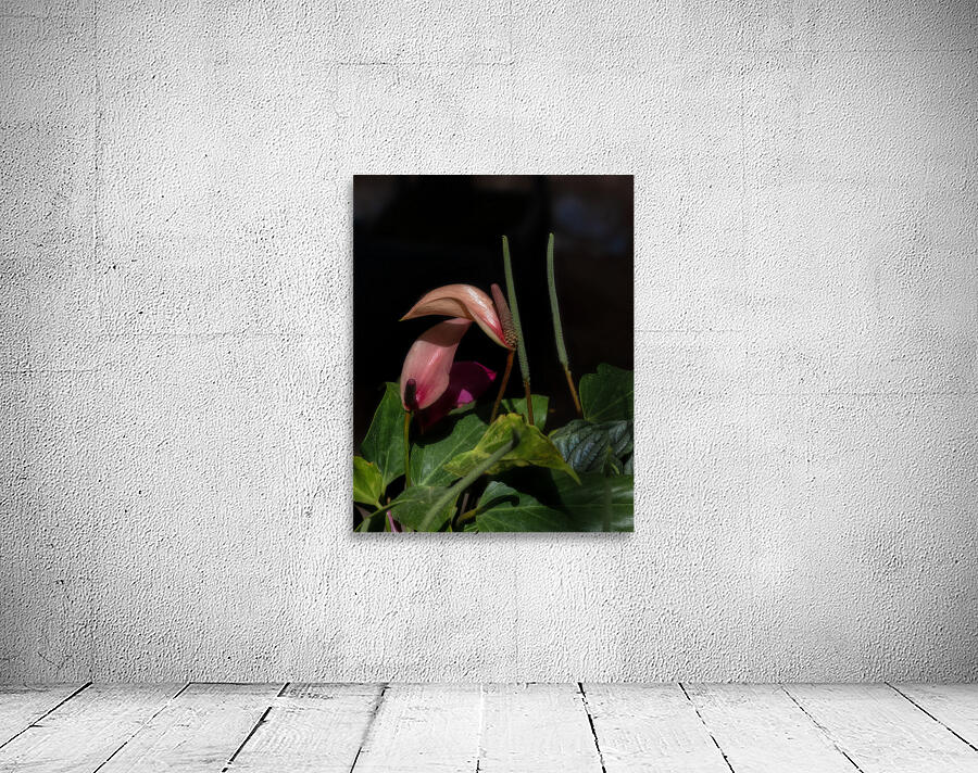 FLO 02286 Wall Preview