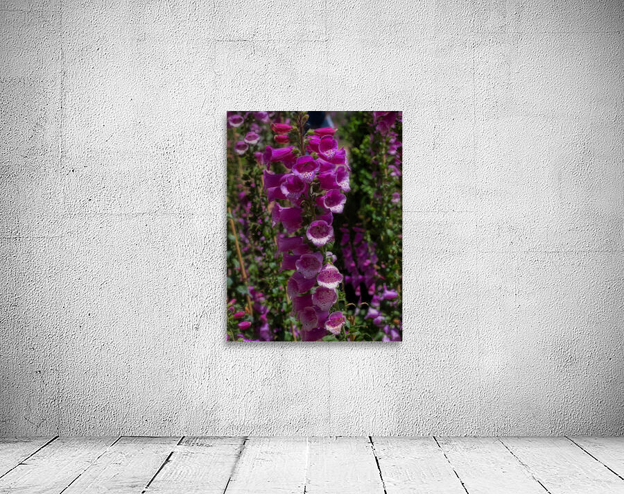 FLO 02282 Wall Preview