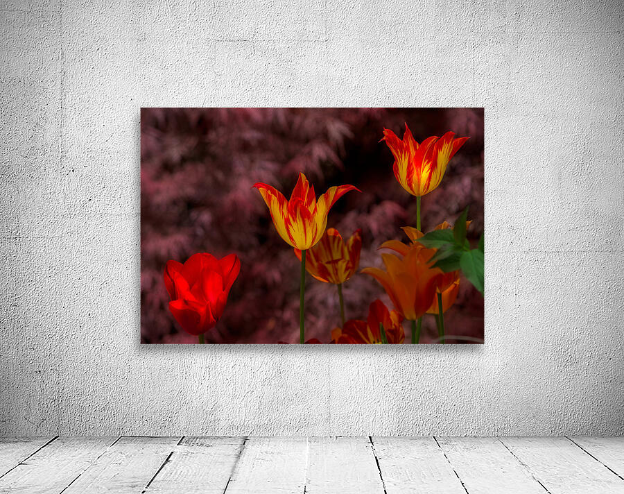 FLO 02137 Wall Preview