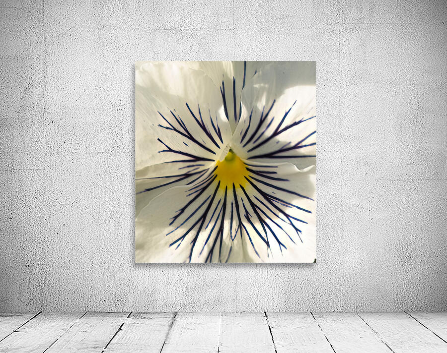 FLO 02153 Wall Preview