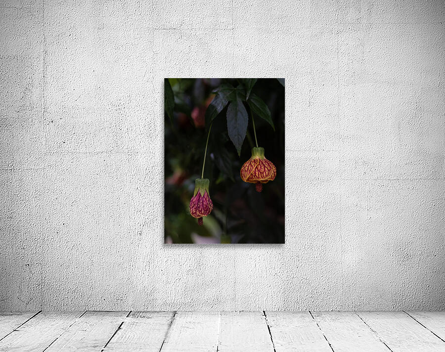 FLO 02277 Wall Preview