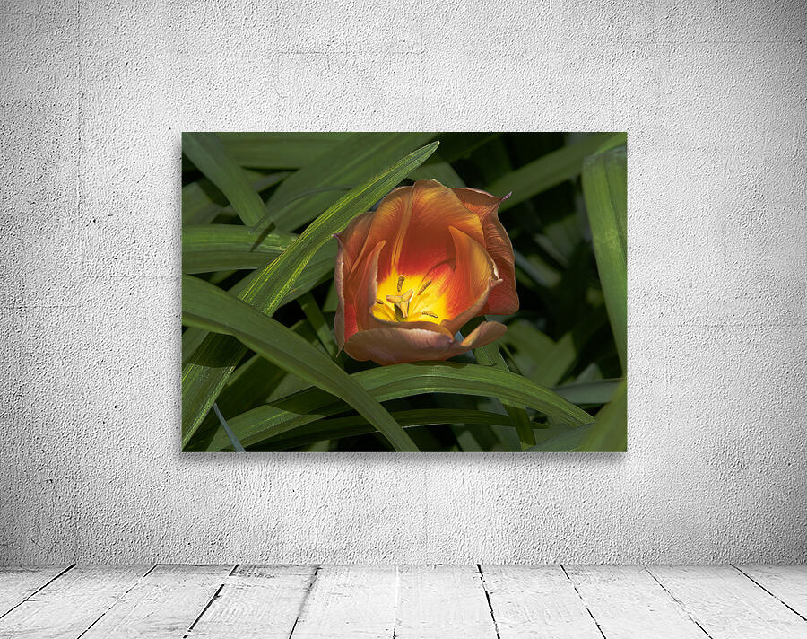 FLO 02208 Wall Preview