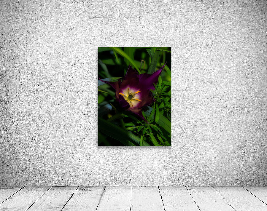 FLO 02207 Wall Preview