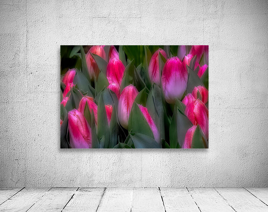 FLO 02266 Wall Preview