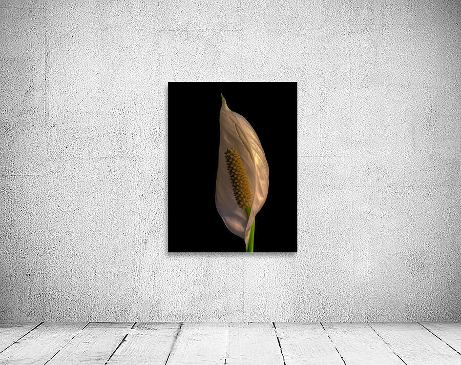 FLO 02218 Wall Preview