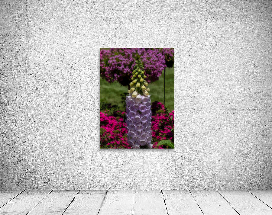 FLO 02283 Wall Preview