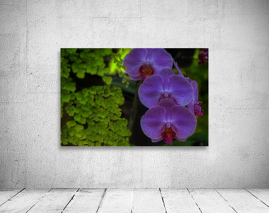 FLO 02289 Wall Preview