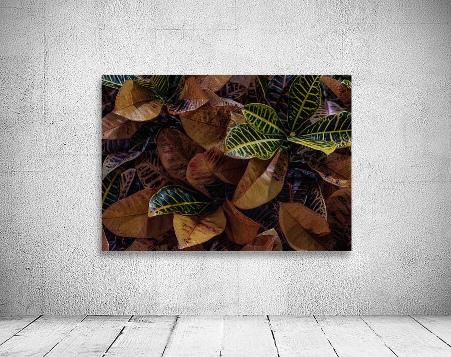 FLO 02278 Wall Preview