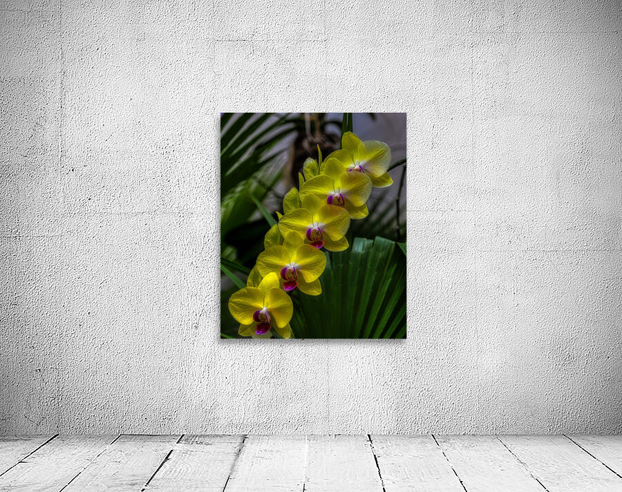 FLO 02279 Wall Preview