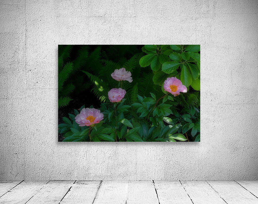 FLO 02284 Wall Preview