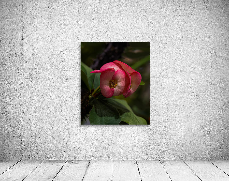 FLO 02275 Wall Preview