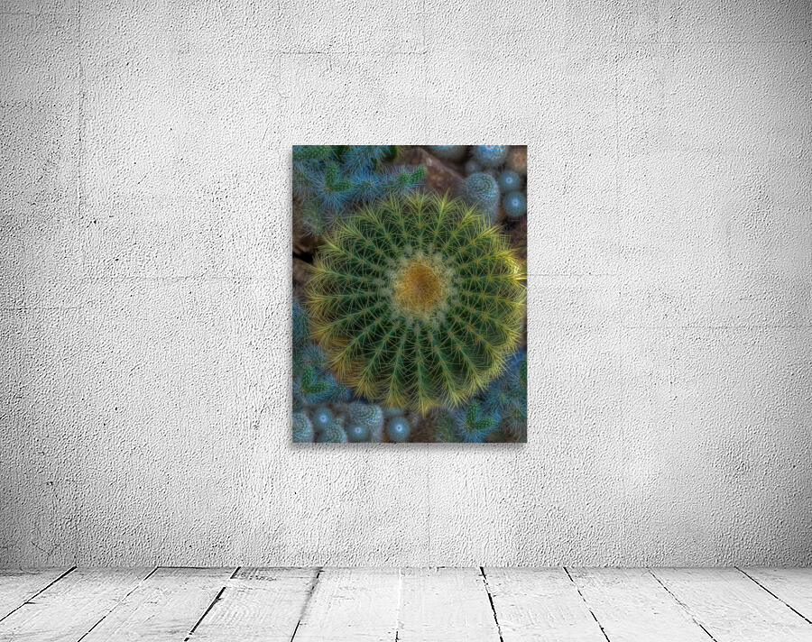 FLO 02291 Wall Preview