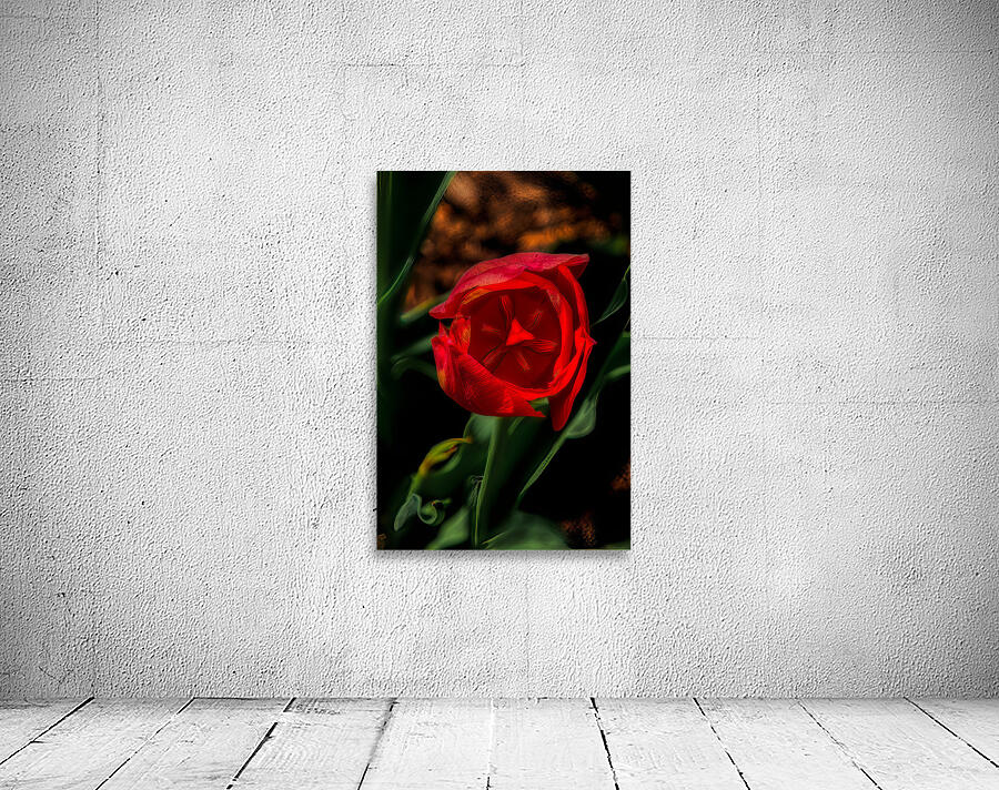FLO 02211 Wall Preview