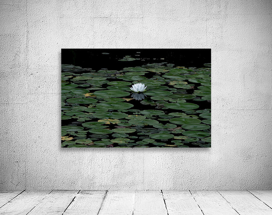 FLO 02302 Wall Preview