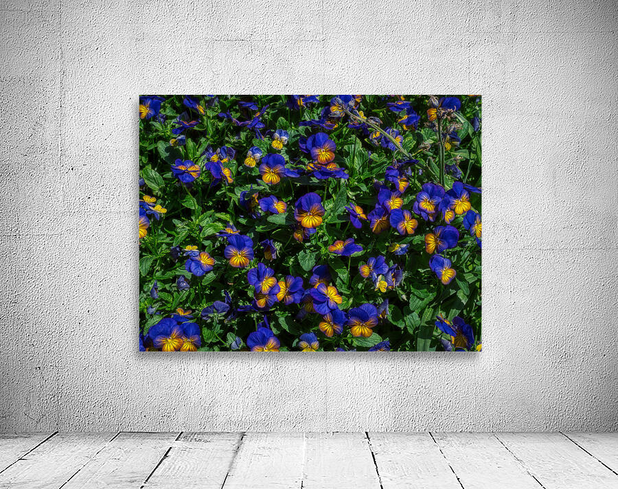 FLO 02281 Wall Preview