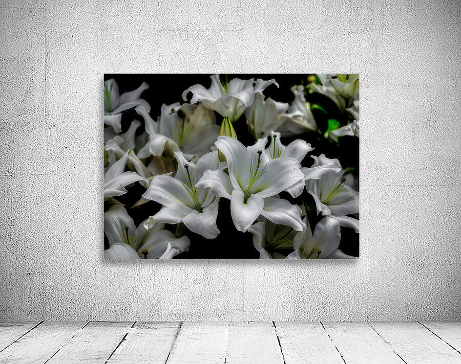 FLO 02287 Wall Preview
