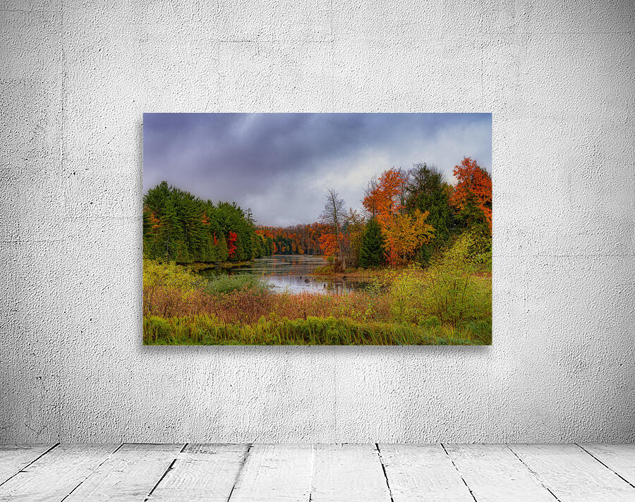 LAN 02321 Wall Preview