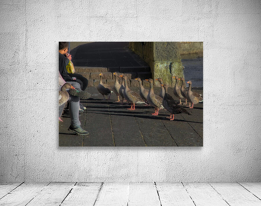 MIS 02144 Wall Preview