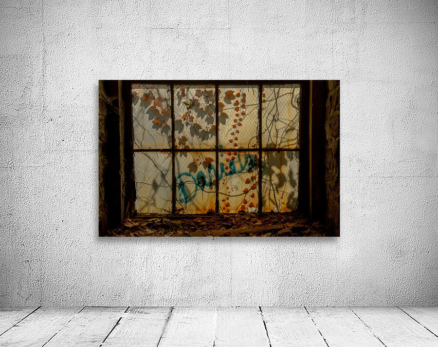 MIS 02351 Wall Preview