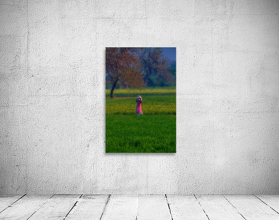 PEO 02368 Wall Preview