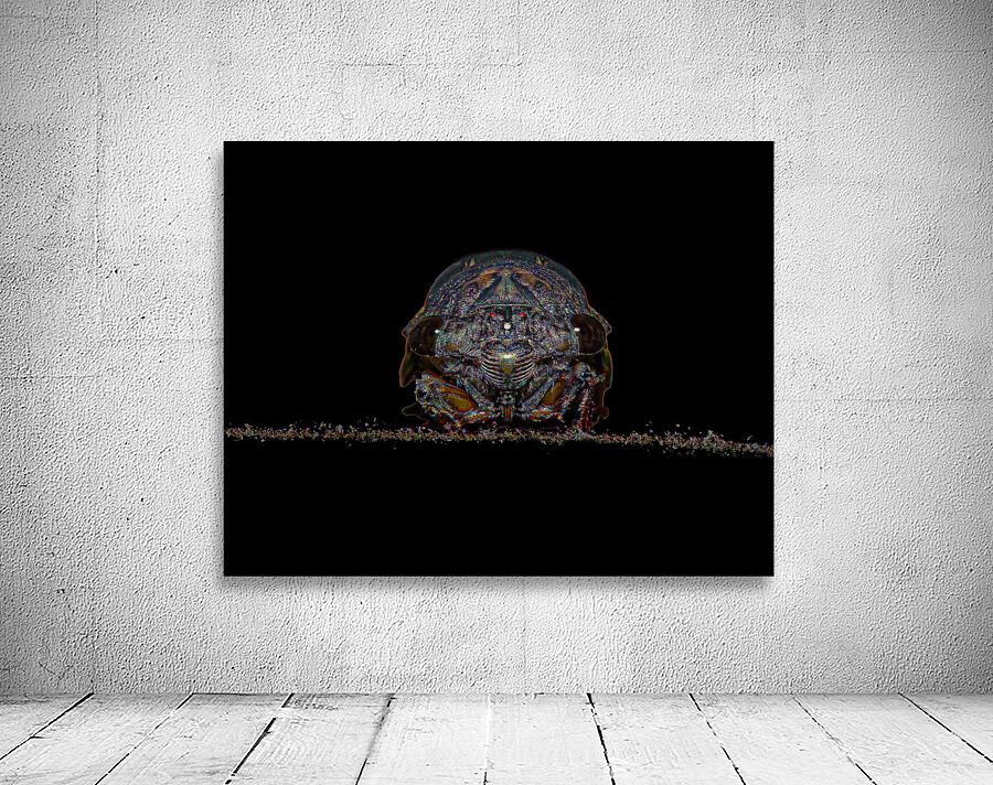 INS 02426 Wall Preview