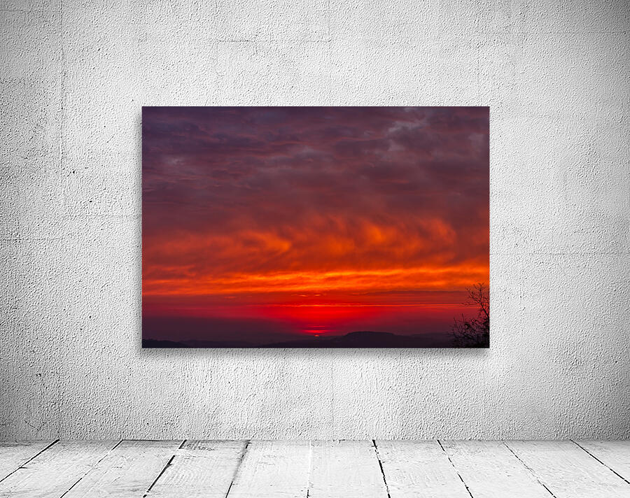 LAN 02521 Wall Preview