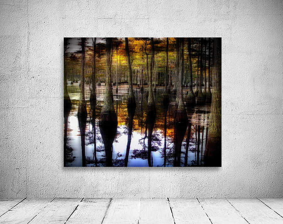 LAN 02585 Wall Preview