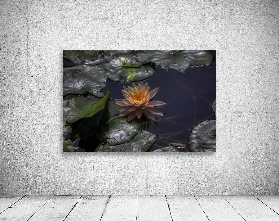 FLO 02597 Wall Preview