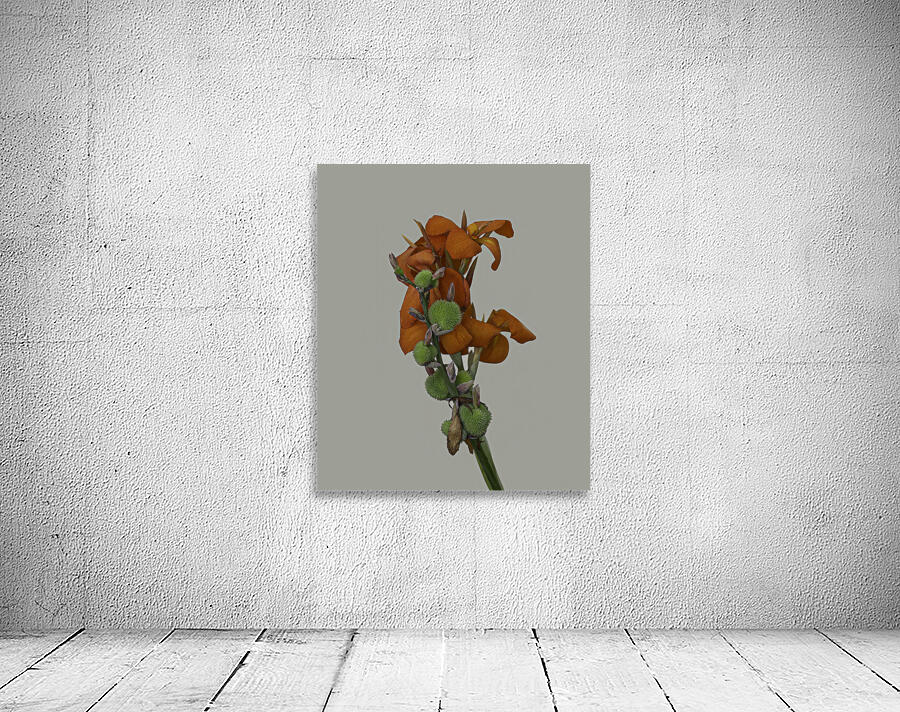 FLO 02661 Wall Preview