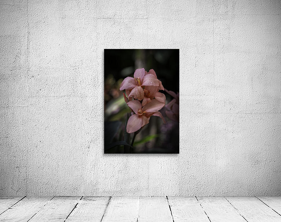 FLO 2707 Wall Preview