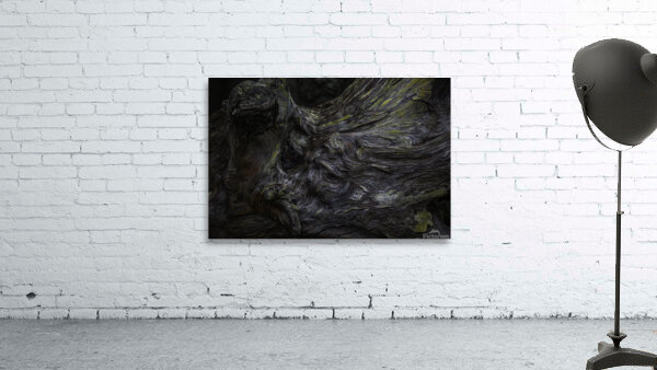 ABS 00004 Wall Preview